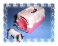 �t�����`�u���h�b�O